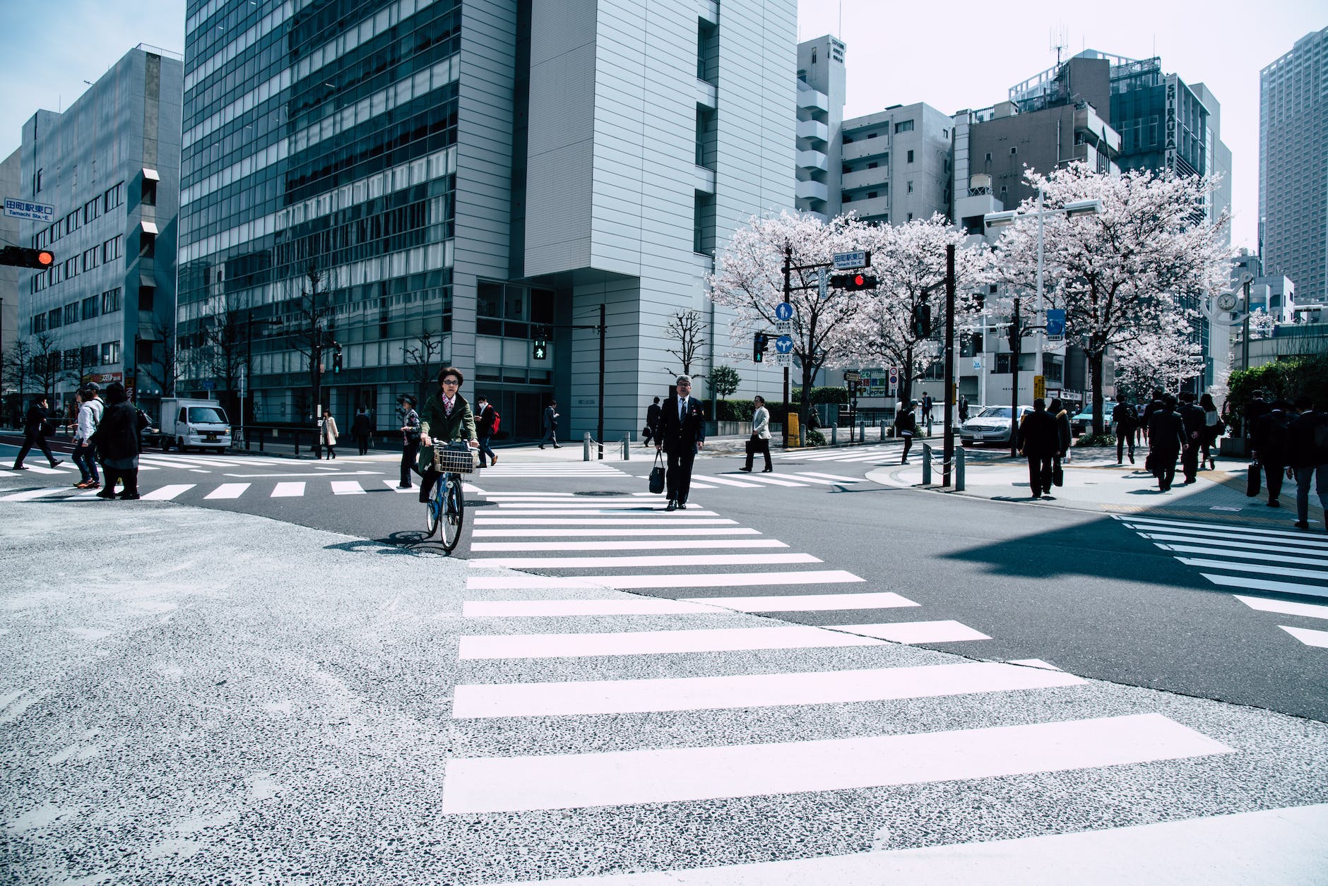 people crossing pedestrian lane